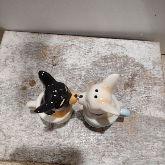 Teacup Chauawa Salt and Pepper magnetic Ceramic Shakers. C5 - Picture 4 of 8
